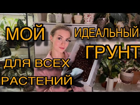 Видео: ИДЕАЛЬНЫЙ ГРУНТ ДЛЯ ВСЕХ РАСТЕНИЙ 