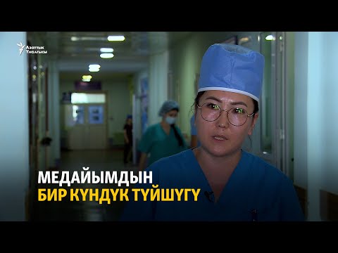 Видео: Медайымдын бир күндүк түйшүгү