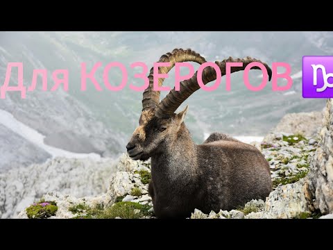 Видео: Для КОЗЕРОГОВ  ♑❗❗❗События до конца года и не только! 👇 🥳💫🕊️♥️