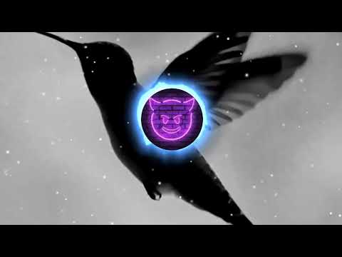 Видео: Колибри BASS BOOSTED