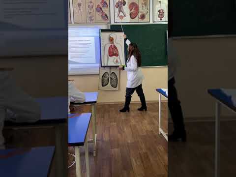 Видео: Эндокриндік жүйе физиологиясы.дәріс