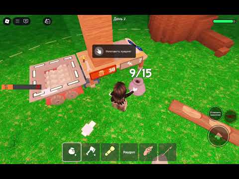 Видео: 12 ноября 2025 г.