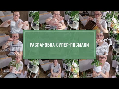 Видео: Новые КАШПО и ОПОРЫ