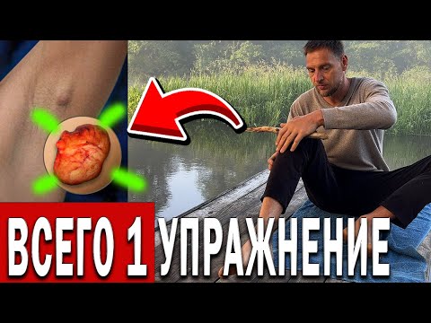 Видео: От ЖИРОВИКОВ и ЛИПОМ одно ПРОСТОЕ УПРАЖНЕНИЕ делай для здоровья!