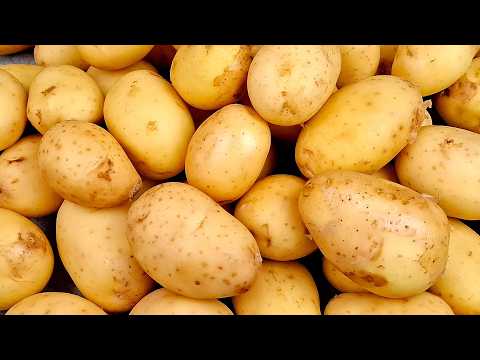 Видео: Молодая картошка - 3 простых рецепта. Молодой картофель рецепты.