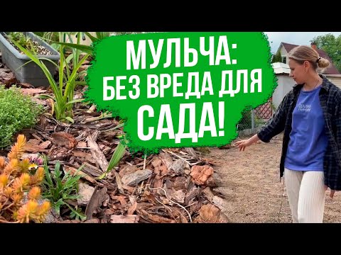 Видео: Чем и как правильно мульчировать грядки. Мульчирование почвы корой.