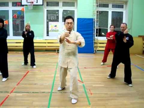 Видео: Ван Лин Тайцзи Ян 24 формы Удар кулаком