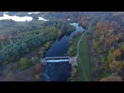 Видео: Сосновая роща 02.10.2016 г. Йошкар-Ола, 4K