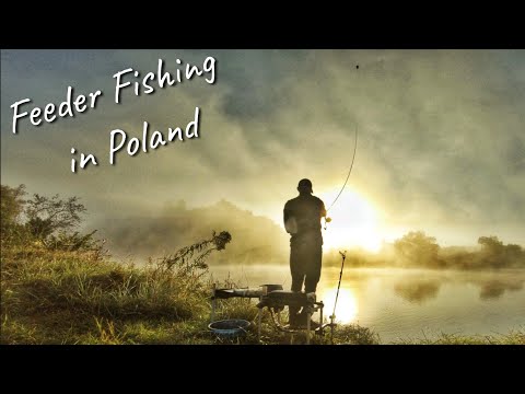 Видео: Особенности Рыбалки в Польше / Лицензия / Стоимость / Клёв