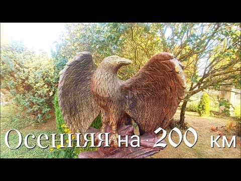 Видео: Осенние 200 км 07.09.2024 г.