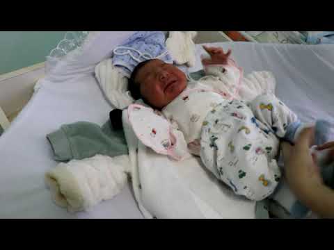 Видео: выписка Ансара 01.01.2020