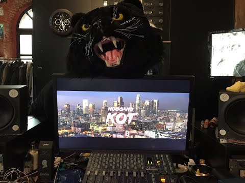 Видео: Ноггано - Кот, который тебя унизит