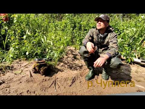 Видео: Сплав по р.Чуплега - р.Пинега (до Усть-Пинеги) 18.07-20.07.23г