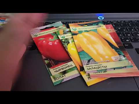 Видео: Вечерний разговор. Когда нельзя. Все ссылки в инфоблоке 14,11,25