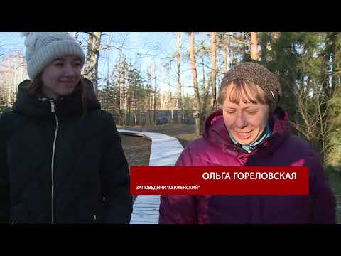 Видео: Соседи 171118 Русская Тайга Рустай