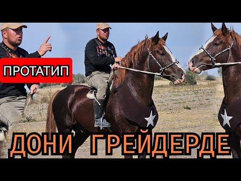 Видео: ПРОТАТИП ДОНИ ГРЕЙДЕРДЕ 