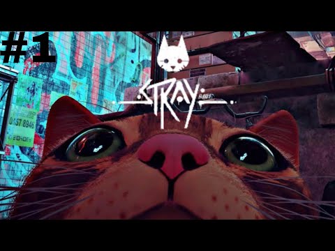 Видео: Бегаем за рыжего кота от каких-то тараканов🪳 / Stray #1🐈/ Darina Malina ✨