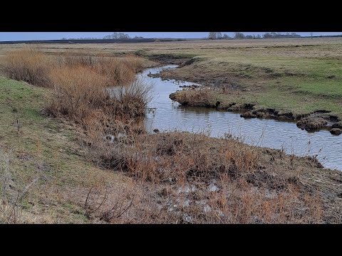 Видео: Находки у реки. Первое серебро с ТХ-850
