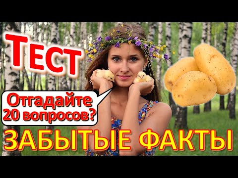 Видео: ТЕСТ 561 Угадай 20 фактов из СССР Жизнь в СССР Автостоп Лучшая настольная игра