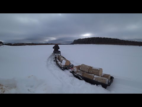 Видео: ВО ОН ПРЁТ.. ЛЕСОВОЗНЫЙ РЕЙС НА МОТОСОБАКЕ! ТАК ДВА РАЗА И СЭКОНОМЛЮ 8К \ ТОФАЛАР 600 В ДЕЛЕ!