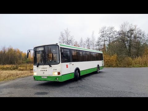 Видео: Автобус, маршрут №353 ЛиАЗ-5293.60 б.3766 (20.10.2022) Петергоф