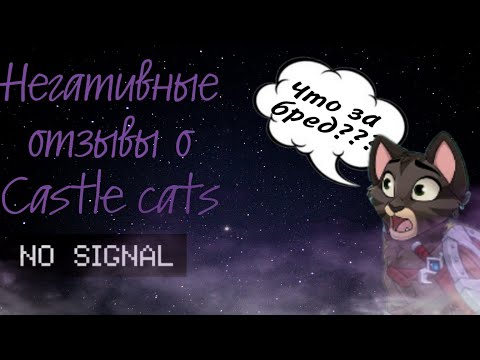 Видео: Негативные отзывы "Гениев" о Castle cats