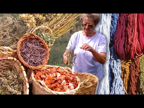 Видео: Крашение растений. Какой природный цвет получают лук, папоротник, лишайник и другие растения?