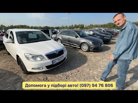 Видео: Автобазар живий‼️Що із цінами⁉️ Продаж авто‼️Підбір‼️