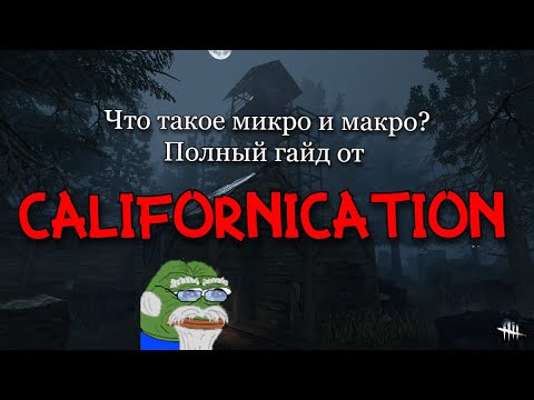 Видео: Микро и макро. Как правильно учиться играть? Полный гайд.