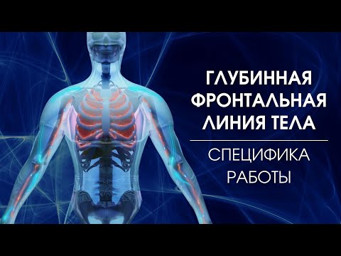 Видео: ГЛУБИННАЯ ФРОНТАЛЬНАЯ ЛИНИЯ тела | Фасциальный массаж