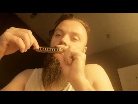 Видео: Анбоксинг Seydel 1847 Classic, часть 2, после кастома. Сравнение с Marine band deluxe