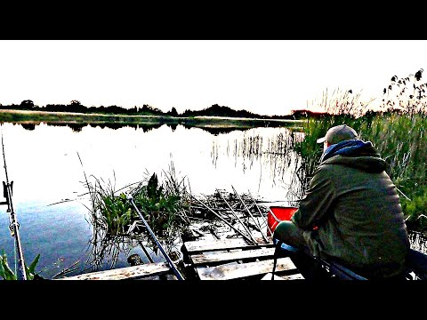 Видео: Кийлів КАРАСЬ після нересту.