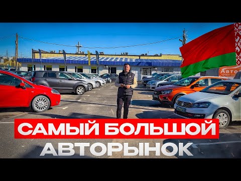 Видео: АВТОРЫНОК БЕЛАРУСИ. СМОТРИМ ДЕШЕВЫЕ АВТО😱