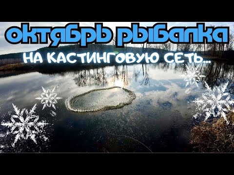 Видео: ОКТЯБРЬ, ПОИСК РЫБЫ КАСТИНГОВОЙ СЕТЬЮ🕸️