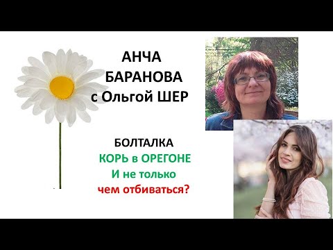 Видео: про корь в Орегоне и не только