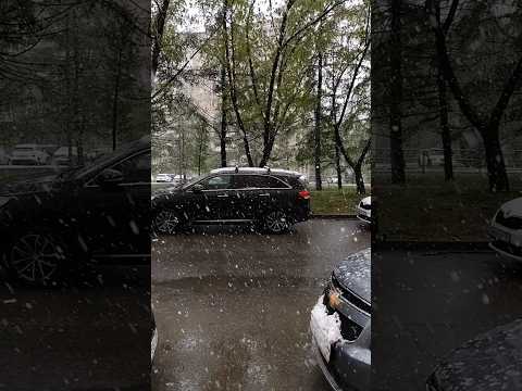 Видео: #Челябинск замело 13 мая 2024 #новости #сегодня