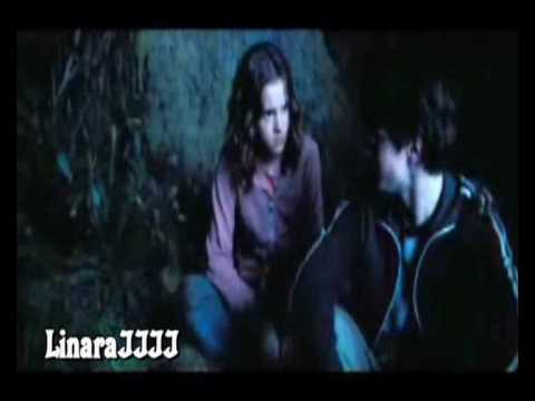 Видео: Верные друзья