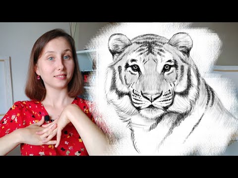 Видео: Как нарисовать тигра карандашом. Поэтапный туториал по рисованию