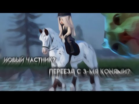 Видео: ★Как я переезжала с тремя лошадьми?★KonoBlog★ Strideway Roblox★Vlog★