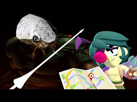 Видео: ЖУК УБИЙЦА И КОМАР ТОРГОВЕЦ - Прохождение - Hollow Knight - №1