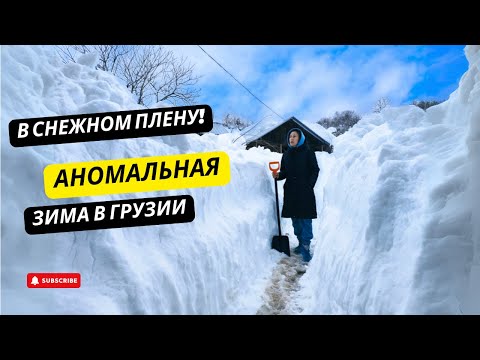 Видео: #22 В СНЕЖНОМ ПЛЕНУ! Аномальная зима в Грузии