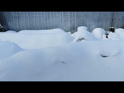 Видео: Весь апрель в зиму верь ☃️😁☃️