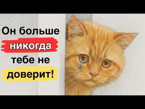 Видео: НИКОГДА не делай ЭТО со своей кошкой! 7 ошибок, о которых ты даже не подозревал…
