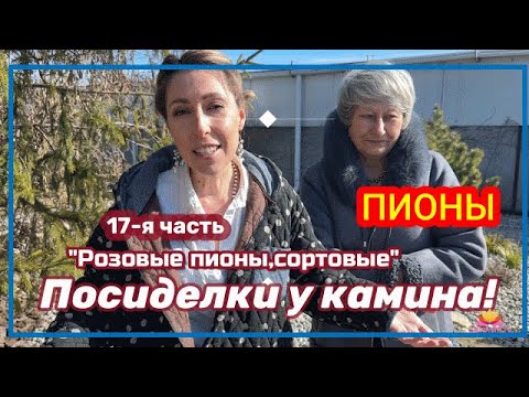 Видео: Посиделки у камина. Часть 17. Нежные розовые пионы / Сад Ворошиловой