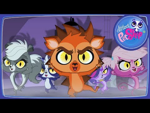 Видео: Мультфильм ПетШоп. За закрытой дверью