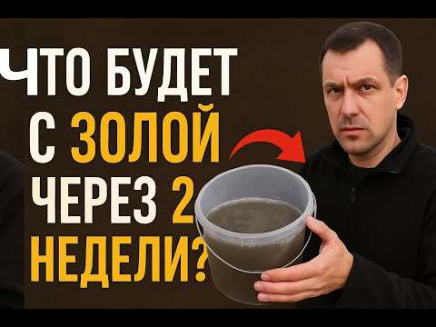Видео: Что случится с древесной золой через 2 недели? Узнайте — это важно!
