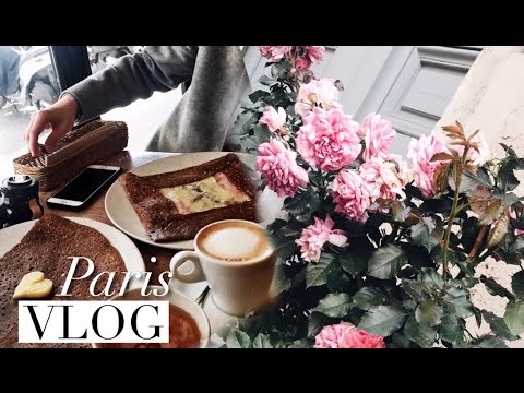 Видео: ПАРИЖ ВЛОГ #15 //  Делаем Визу, Блин за 13€ и Китайская Еда