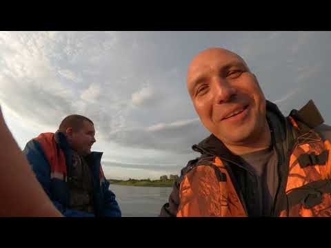 Видео: Рыбалка на Томи Нижняя Терсь ловим окуней и лещей. С костяном.