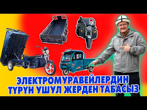 Видео: ЭЛЕКТРОМУРАВЕЙЛЕРДИ түрүн ушул жерден табасыз.1.5 ТОННА токкон Самосвалдар,ТYЗ кытай заводтон келген