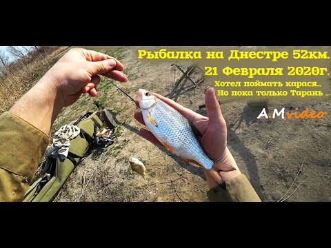 Видео: Рыбалка на Днестре 52км. 21 Февраля 2020г. Хотел поймать карася... Но пока только Тарань ...